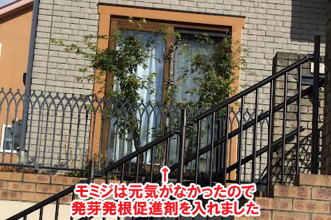 神奈川県 雑草対策・目隠しウッドフェンス・背の高い目隠しフェンス・植栽・造園 施工事例