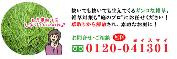 ガンコな雑草はプロにお任せ 雑草 造園 外構 エクステリア 剪定 お庭のリフォームはグリーンパトロール 茅ケ崎市・寒川町・藤沢市・鎌倉市・平塚市