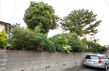 神奈川県藤沢市 大木の伐採 危険ブロック塀改修施工事例・庭づくり 庭工事