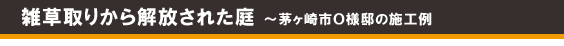 �G����肩�������ꂽ�� �`������s�n�l�@�̎{�H�� �G�� ���� �O�\ �G�N�X�e���A ���� ����̃��t�H�[���̓O���[���p�g���[�� ���P��s�E���쒬�E����s�E���q�s�E���ˎs