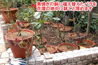 植木鉢だらけのお庭を美しくリフォーム