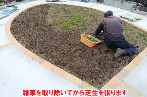 手入れが楽な芝生のお庭～神奈川県横須賀市事例