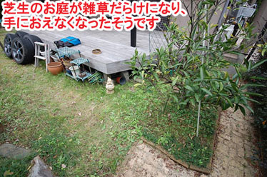 芝生のお庭が雑草だらけになり、手におえなくなったそうです　レンガで可愛いお庭～神奈川県横浜市Ｔ様庭リフォーム施工事例／可愛い庭,かわいい庭,大人可愛い庭,レンガの庭で洋風ガーデンに造園