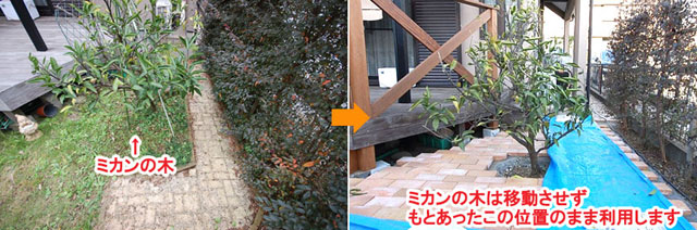 ミカンの木は移動させずもとあったこの位置のまま利用します　レンガで可愛いお庭～神奈川県横浜市Ｔ様庭リフォーム施工事例／可愛い庭,かわいい庭,大人可愛い庭,レンガの庭で洋風ガーデンに造園