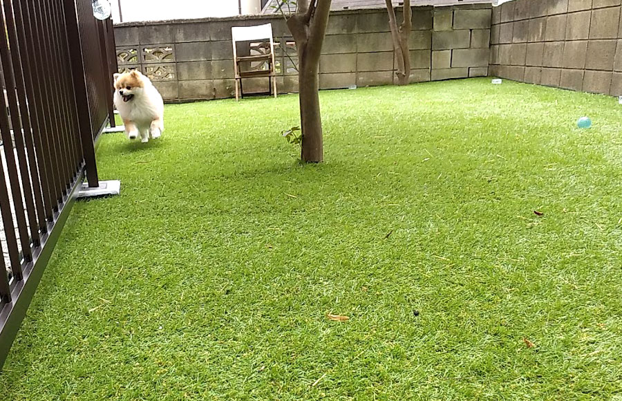 神奈川横浜市O様邸 人工芝生 犬の庭 ドッグラン施工例~人工芝雑草対策,人工芝,メリット,デメリット,DIY費用,DIY施工方法,人工芝おしゃれ