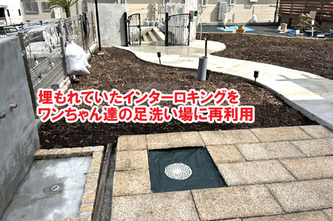 埋もれていたインターロキングをワンちゃん達の足洗い場に再利用～おしゃれな庭,おしゃれな外構,犬の庭.ドッグラン,放し飼い,庭デザイン,リゾート風,ホテルライク,玄関アプローチ,コンクリート,芝生,天然芝生,雑草対策