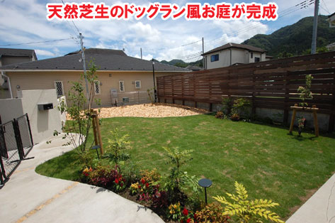 天然芝生のドッグラン風お庭が完成～おしゃれな庭,おしゃれな外構,犬の庭.ドッグラン,放し飼い,庭デザイン,リゾート風,ホテルライク,玄関アプローチ,コンクリート,芝生,天然芝生,雑草対策