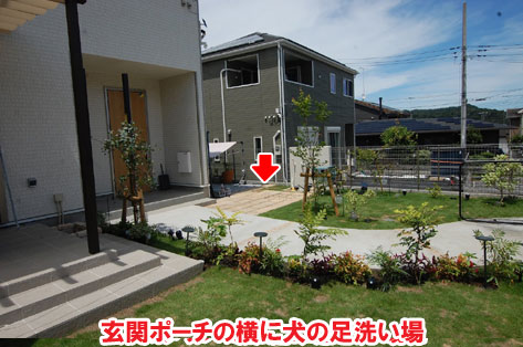 玄関ポーチの横に犬の足洗い場～おしゃれな庭,おしゃれな外構,犬の庭.ドッグラン,放し飼い,庭デザイン,リゾート風,ホテルライク,玄関アプローチ,コンクリート,芝生,天然芝生,雑草対策
