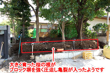 神奈川県藤沢市の庭,ガーデン,外構,エクステリア,造園,雑草対策,除草,剪定,お庭のリフォームはグリーンパトロール