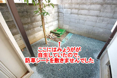神奈川県藤沢市A様　高級感ある石張り雑草対策 造園外構施工例