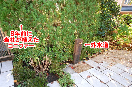 神奈川県藤沢市の庭,ガーデン,外構,エクステリア,造園,雑草対策,除草,剪定,お庭のリフォームはグリーンパトロール