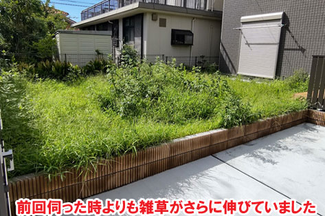 前回伺った時よりも雑草がさらに伸びていました神奈川県茅ヶ崎市T様邸 人工芝雑草対策でいつでもきれいな庭~人工芝とタイルで雑草対策リフォーム事例/人工芝,リフォーム,お手入れ簡単,手入れが楽,きれい,簡単,神奈川県,茅ヶ崎市,庭,雑草対策