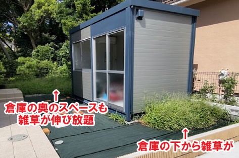 倉庫の下から雑草が神奈川県茅ヶ崎市T様邸 人工芝雑草対策でいつでもきれいな庭~人工芝とタイルで雑草対策リフォーム事例/人工芝,リフォーム,お手入れ簡単,手入れが楽,きれい,簡単,神奈川県,茅ヶ崎市,庭,雑草対策