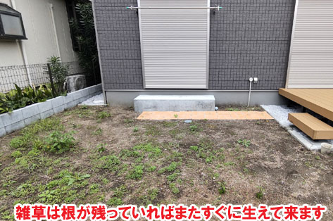 雑草は根が残っていればまたすぐに生えて来ます神奈川県茅ヶ崎市T様邸 人工芝雑草対策でいつでもきれいな庭~人工芝とタイルで雑草対策リフォーム事例/人工芝,リフォーム,お手入れ簡単,手入れが楽,きれい,簡単,神奈川県,茅ヶ崎市,庭,雑草対策