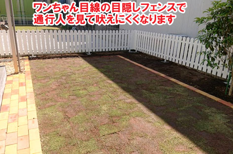 神奈川県藤沢市S様 ドッグラン施工例