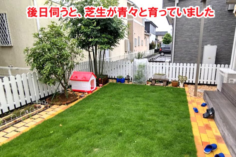 神奈川県藤沢市S様 人工芝から天然芝へ、子どもと愛犬が快適に遊べるお庭、アーリーアメリカンフェンスで犬が吠えない施工例