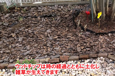 神奈川県藤沢市S様 人工芝から天然芝へ、子どもと愛犬が快適に遊べるお庭、アーリーアメリカンフェンスで犬が吠えない施工例