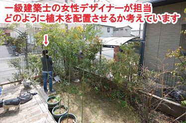 お庭全体にウッドデッキを張って子どもが遊べるお庭に。植物を活かしたデザインが得意な女性一級建築士がデザイン