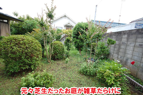 元々芝生だったお庭が雑草だらけに/草が生えない実家の庭 人工芝とタイルの別荘兼アトリエのお庭~神奈川県秦野市施工事例 別荘,アトリエ,別荘の庭,人工芝,タイル張り,実家の庭