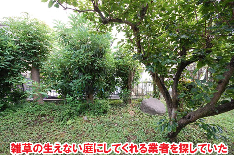雑草の生えない庭にしてくれる業者を探していた神奈川県秦野市Ｔ様邸　外構工事施工事例