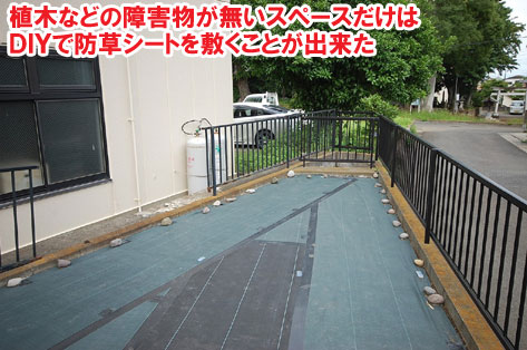 植木などの障害物が無いスペースだけはDIYで防草シートを敷くことが出来た/草が生えない実家の庭 人工芝とタイルの別荘兼アトリエのお庭~神奈川県秦野市施工事例 別荘,アトリエ,別荘の庭,人工芝,タイル張り,実家の庭