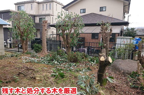 残す木と処分する木を厳選/草が生えない実家の庭 人工芝とタイルの別荘兼アトリエのお庭~神奈川県秦野市施工事例 別荘,アトリエ,別荘の庭,人工芝,タイル張り,実家の庭