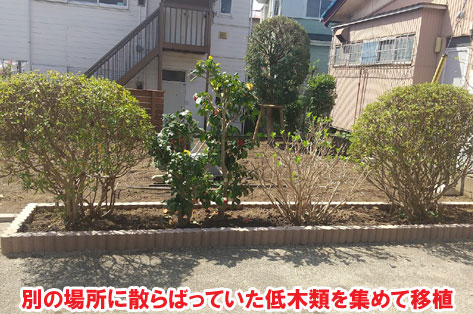 別の場所に散らばっていた低木類を集めて移植/草が生えない実家の庭 人工芝とタイルの別荘兼アトリエのお庭~神奈川県秦野市施工事例 別荘,アトリエ,別荘の庭,人工芝,タイル張り,実家の庭