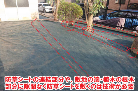 敷地の端や植木の根本部分に防草シートを隙間なく敷くのは技術が必要/草が生えない実家の庭 人工芝とタイルの別荘兼アトリエのお庭~神奈川県秦野市施工事例 別荘,アトリエ,別荘の庭,人工芝,タイル張り,実家の庭