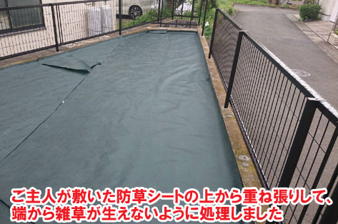 ご主人が敷いた防草シートの上から二重に重ね張りしました/草が生えない実家の庭 人工芝とタイルの別荘兼アトリエのお庭~神奈川県秦野市施工事例 別荘,アトリエ,別荘の庭,人工芝,タイル張り,実家の庭
