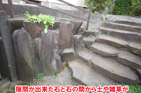 隙間が出来た石と石の間から土や雑草が神奈川県秦野市Ｔ様邸　外構工事施工事例