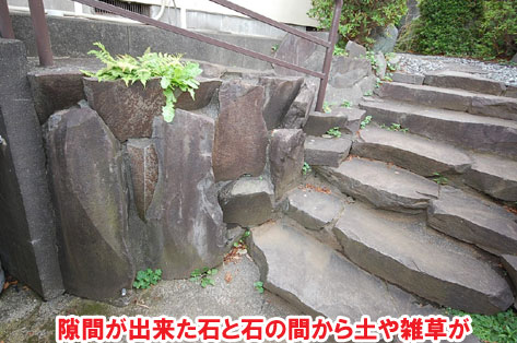 隙間が出来た石と石の間から土や雑草が/草が生えない実家の庭 人工芝とタイルの別荘兼アトリエのお庭~神奈川県秦野市施工事例 別荘,アトリエ,別荘の庭,人工芝,タイル張り,実家の庭