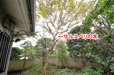 藤沢市F様 F様 雑草対策 石貼り(石張り) 植栽目隠し 造園施工例