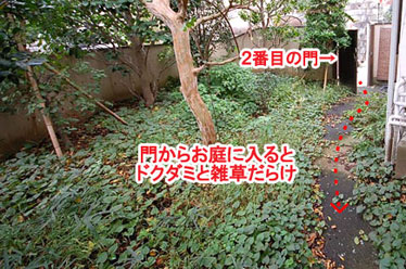 藤沢市F様 ドクダミでお困りに庭がジェラストーンで大変身 造園外構施工例 