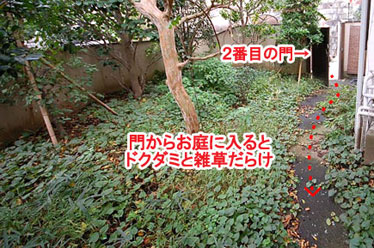 藤沢市F様 F様 雑草対策 石貼り(石張り) 植栽目隠し 造園施工例