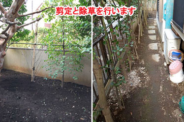 藤沢市F様 F様 雑草対策 石貼り(石張り) 植栽目隠し 造園施工例