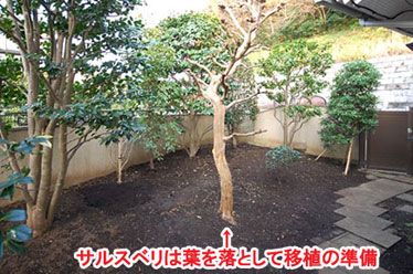 藤沢市F様 F様 雑草対策 石貼り(石張り) 植栽目隠し 造園施工例