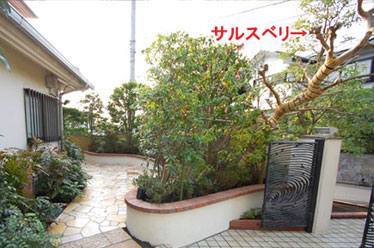 藤沢市F様 F様 雑草対策 石貼り(石張り) 植栽目隠し 造園施工例