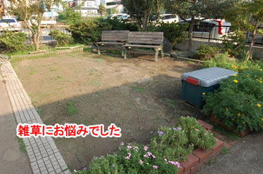 藤沢市T様邸 外構・エクステリア カーポート施工事例 神奈川県・鎌倉市・横浜市・川崎市・相模原市・藤沢市・茅ヶ崎市・厚木市・大和市・海老名市・小田原市・二宮町・大磯町・寒川町・平塚市