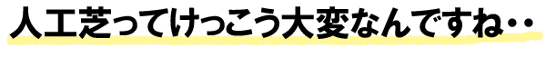 人工芝ってけっこう大変なんですね~人工芝生の評判、感想、口コミを元に人工芝生のメリット・デメリット、DIYでの費用 価格 料金を天然芝生と比較。人工芝を敷きたい方におすすめの庭リフォーム (神奈川県・鎌倉市・横浜市・川崎市・相模原市・藤沢市・茅ヶ崎市・厚木市・大和市・海老名市・小田原市・二宮町・大磯町・寒川町・平塚市)