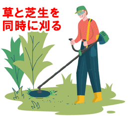 芝刈り機(刈払機)で草と芝生を同時に刈るとお手入れが楽~人工芝生の評判、感想、口コミを元に人工芝生のメリット・デメリット、DIYでの費用 価格 料金を天然芝生と比較。人工芝を敷きたい方におすすめの庭リフォーム (神奈川県・鎌倉市・横浜市・川崎市・相模原市・藤沢市・茅ヶ崎市・厚木市・大和市・海老名市・小田原市・二宮町・大磯町・寒川町・平塚市)