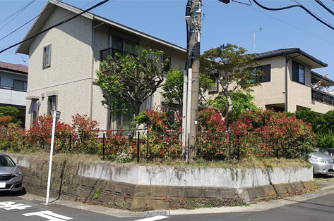 犬を庭でリード無しで自由にフリーに遊ばせたい!ウッドデッキ・ウッドフェンス庭施工事例 神奈川県 鎌倉市