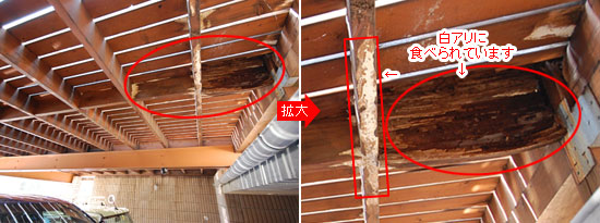 鎌倉市S様邸 デッキ修理・電動シャッター取付・雨漏り窓交換施工例 雑草 造園 外構 エクステリア 剪定 お庭のリフォームはグリーンパトロール 神奈川県・鎌倉市・横浜市・川崎市・相模原市・藤沢市・茅ヶ崎市・厚木市・大和市・海老名市・小田原市・二宮町・大磯町・寒川町・平塚市