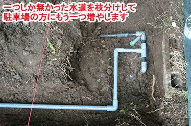 神奈川県 鎌倉市 庭木を切りたい、大木の伐採 施工事例