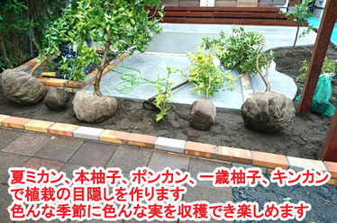 神奈川県 鎌倉市 庭木を切りたい、大木の伐採 施工事例
