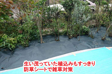 神奈川県 鎌倉市 おしゃれなコンクリートの庭、アクセントコンクリート 施工事例