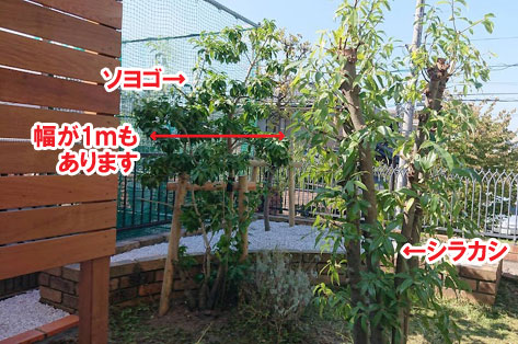 神奈川県 お隣の視線をナチュラルにカット 背が高いウッドフェンス施工事例