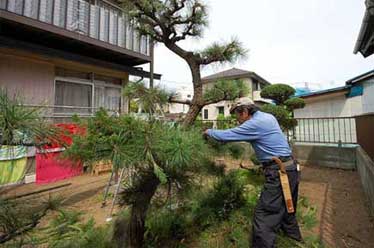 神奈川県茅ケ崎市M様　ドッグラン風の庭 雑草対策造園外構施工例