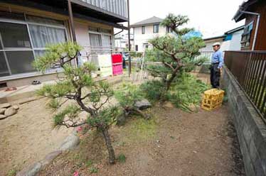 神奈川県茅ヶ崎市 M様邸 ドッグラン、雑草対策外構工事施工例 お庭のリフォームはグリーンパトロール 神奈川県・鎌倉市・横浜市・川崎市・相模原市・藤沢市・茅ヶ崎市・厚木市・大和市・海老名市・小田原市・二宮町・大磯町・寒川町・平塚市