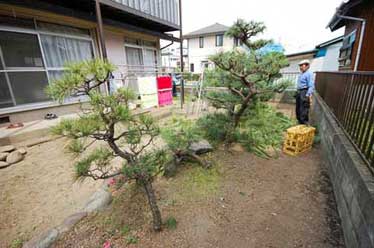 神奈川県茅ケ崎市M様　ドッグラン風の庭 雑草対策造園外構施工例