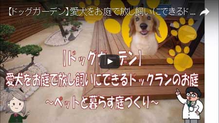犬を自由に走らせたい！愛犬家の庭づくり～神奈川県茅ヶ崎市 M様邸工事例